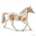 Yegua Paint Horse