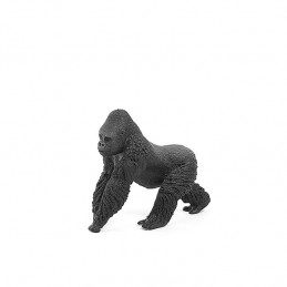 Gorila macho