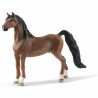 Caballo capón Saddlebred americano