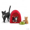 Juego para gatos