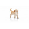 CACHORRO GOLDEN RETRIEVER