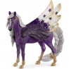 PEGASO DE LAS ESTRELLAS, YEGUA