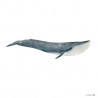 BALLENA AZUL