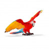 GUACAMAYO