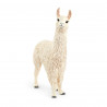 LAMA