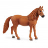 DEUTSCHE REITPONY, YEGUA