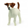 JACK RUSSELL TERRIER
