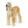 Galgo