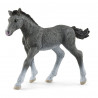 Potro Trakehner