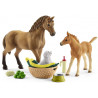 Set de cuidado de crías de Horse Club Sarah