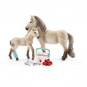 Set de primeros auxilios de Horse Club Hannah