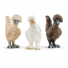 Gallinitas