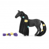 Yegua criolla definitiva Beauty Horse