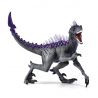Raptor de sombra