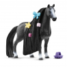 Beauty Horse Quarter Horse Yegua