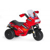 DUCATI DESMOSEDICI EVO
