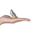 Figura realista de halcón peregrino de juguete para niños, miniatura educativa de 6x5x2 cm.