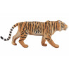 Tigre de Bengala
