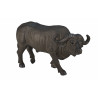 Buffalo