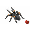 Tarántula roja