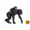 Chimpancé con bebé