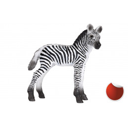 Figura de potro cebra de juguete realista de la colección Mojo para niños y coleccionistas.